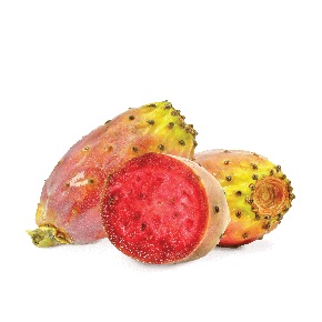 FUMARI フマリ Prickly Pear プリックリーピアー 100g