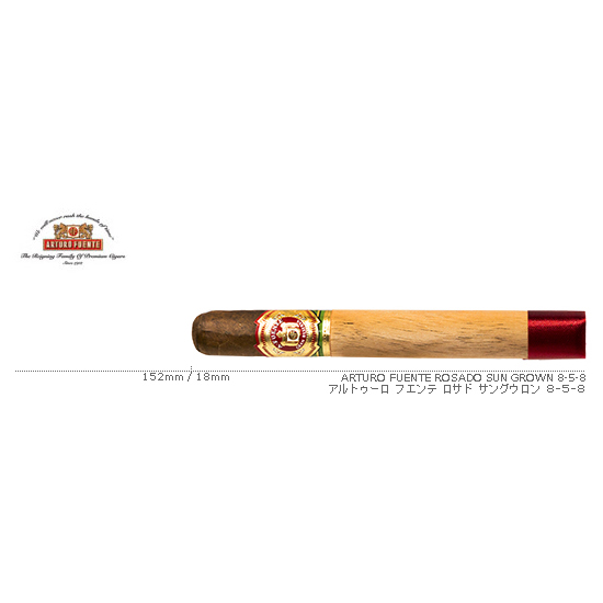 ARTURO FUENTE / アルトゥーロ フエンテ ロサド サングロウン 8-5-8 単品