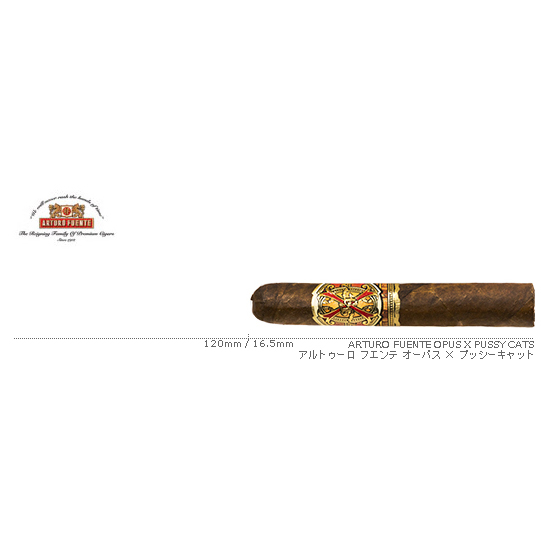 ARTURO FUENTE / アルトゥーロ フエンテ オーパス X プッシーキャット 単品