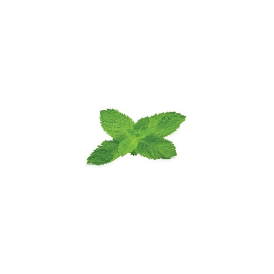 FUMARI フマリ Enlighten Mint 【旧：Mint】 100g