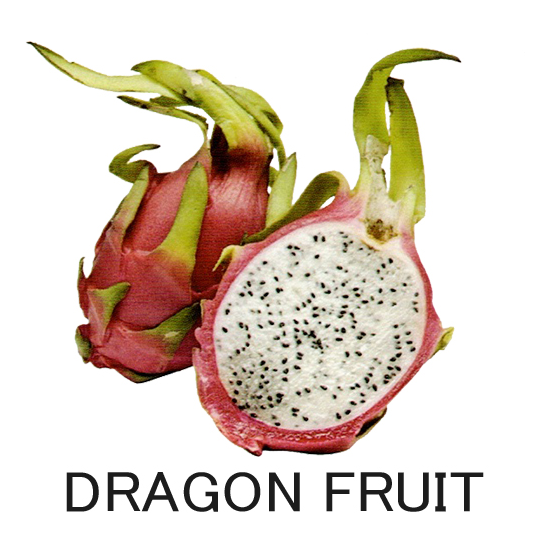 DOZAJ ドザジ DragonFfuit ドラゴンフルーツ 50g