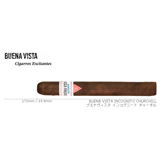 BUENA VISTA / ブエナヴィスタ インコグニート チャーチル
