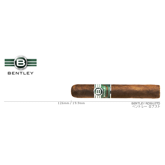 BENTLEY / ベントレ― ロブスト 単品
