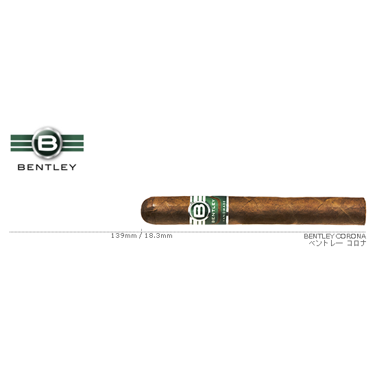 BENTLEY / ベントレ― コロナ 単品