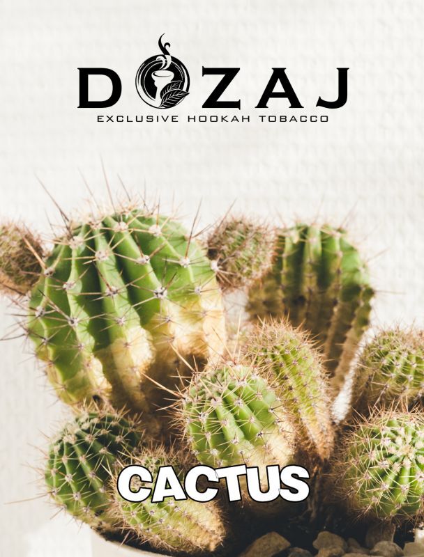 DOZAJ ドザジ Cactus カクタス 50g