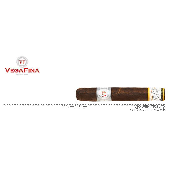 VEGAFINA / ベガフィナ トリビュート 単品