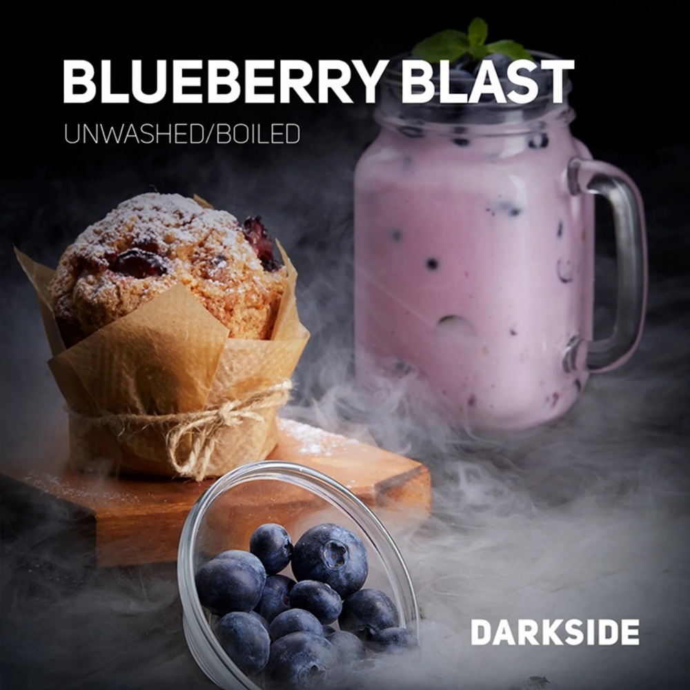 DARK SIDE ダークサイド BLUEBERRY BLAST ブルーベリーブラスト 100g